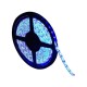 Ταινία LED – LED Strip - IP65 - 5m - Blue - 891202 Ταινία LED – LED Strip - IP65 - 5m - Blue - 891202