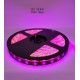 Ταινία LED – LED Strip - IP65 - 5m - Pink - 891207
