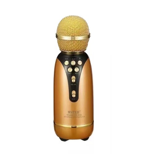 Ασύρματο μικρόφωνο Karaoke - WS-899 - Weisre - 883358 - Gold