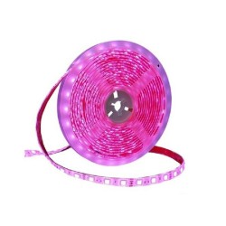 Ταινία LED – LED Strip - IP65 - 5m - Pink - 891207 Ταινία LED – LED Strip - IP65 - 5m - Pink - 891207