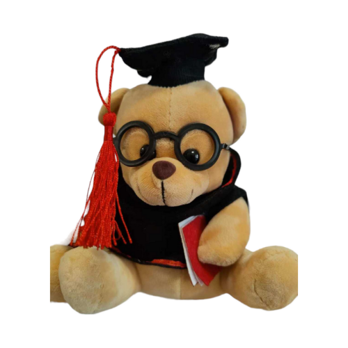 Λούτρινο κουκλάκι Doctor Bear - 20cm - 274606