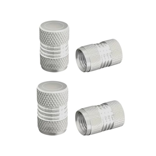 Καπάκι βαλβίδας ελαστικών αυτοκινήτου - R-Z17109-4U - 140526 - Silver