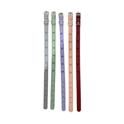 Περιλαίμιο - Κολάρο σκύλου - 3x56cm - 12pcs - 550161 Περιλαίμιο - Κολάρο σκύλου - 3x56cm - 12pcs - 550161