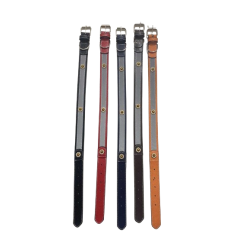 Περιλαίμιο - Κολάρο σκύλου - 2x46cm - 12pcs - 550168 Περιλαίμιο - Κολάρο σκύλου - 2x46cm - 12pcs - 550168