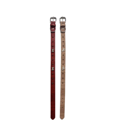 Περιλαίμιο - Κολάρο σκύλου - 2x46cm - 12pcs - 550172 Περιλαίμιο - Κολάρο σκύλου - 2x46cm - 12pcs - 550172