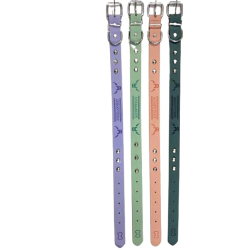 Περιλαίμιο - Κολάρο σκύλου - 2.5x52cm - 12pcs - 550183 Περιλαίμιο - Κολάρο σκύλου - 2.5x52cm - 12pcs - 550183