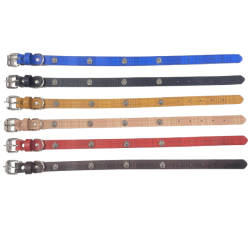 Περιλαίμιο - Κολάρο σκύλου - 2x46cm - 12pcs - 550185 Περιλαίμιο - Κολάρο σκύλου - 2x46cm - 12pcs - 550185