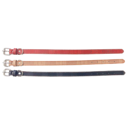 Περιλαίμιο - Κολάρο σκύλου - 2x46cm - 12pcs - 550195 Περιλαίμιο - Κολάρο σκύλου - 2x46cm - 12pcs - 550195