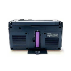 Επαναφορτιζόμενο ραδιόφωνο - RX750D - 797506 - Black