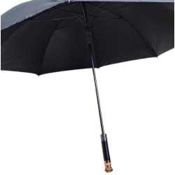 Αυτόματη ομπρέλα μπαστούνι - 171119 - Blue