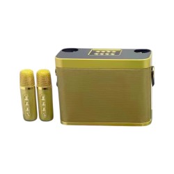 Ασύρματο ηχείο Bluetooth με 2 μικρόφωνα Karaoke - YS-219 - 887240 - Gold
