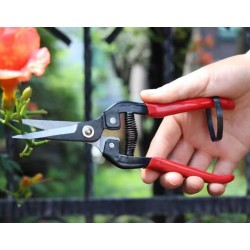 Ψαλίδι κλαδέματος - 291448