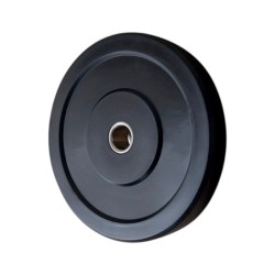 Δίσκος βάρους γυμναστικής για μπάρα - 80128 - 25kg - 150172