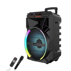 Φορητό ηχείο subwoofer με μικρόφωνο Karaoke - ABS-15101 - 813690 Φορητό ηχείο subwoofer με μικρόφωνο Karaoke - ABS-15101 - 813690