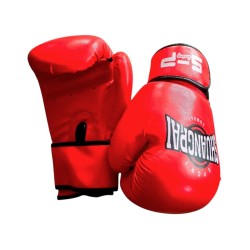 Γάντια πυγμαχίας - 10oz - 290267 - Red
