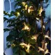 Ηλιακή γιρλάντα φωτισμού LED - String Bird - 5m+1m - 20D - 152875 - Warm White