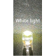 Λαμπτήρες LED - T10 - R-DT10Q-01AUT10 - 2pcs - 110860 - White