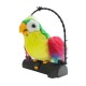 Ηλεκτρoνικός παπαγάλος που μιλάει - FOD-1018 - 917486