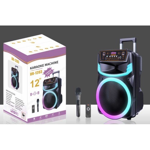 Φορητό ηχείο subwoofer με μικρόφωνο Karaoke - DR1203 - 160064