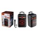 Φορητό ηχείο subwoofer με μικρόφωνο Karaoke - ZQS12150 - 160057