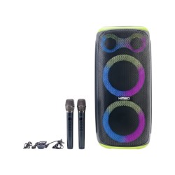 Φορητό ηχείο subwoofer με 2 μικρόφωνα Karaoke - QS-289 - 260486 - Green