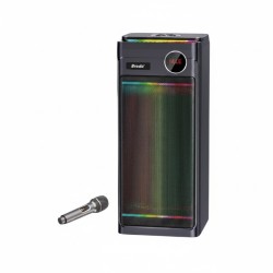 Φορητό ηχείο subwoofer με μικρόφωνο Karaoke - BTS-2243 - 722435
