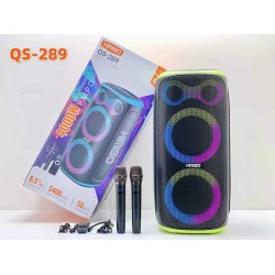 Φορητό ηχείο subwoofer με 2 μικρόφωνα Karaoke - QS-289 - 260486 - Green